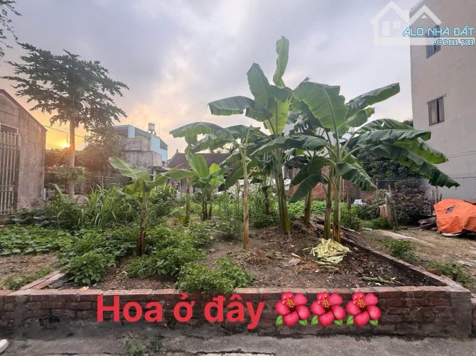 ‼️‼️‼️ 3.1 TỶ - 42m2 - NGÕ 3m - CÁCH 15m RA TRỤC CHÍNH OTO TRÁNH - VIỆT HÙNG - ĐÔNG ANH ‼️ - 4