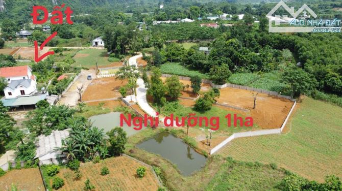 BÁN LÔ ĐẤT VIEW HỒ DT 85M CÁCH HÀ ĐÔNG 50KM - 4