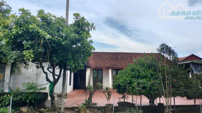 Lô góc 704m ô tô thông Hoàng Văn Thụ xã Trần Phú Chỉ nhỉnh 10tr/m2 - 4