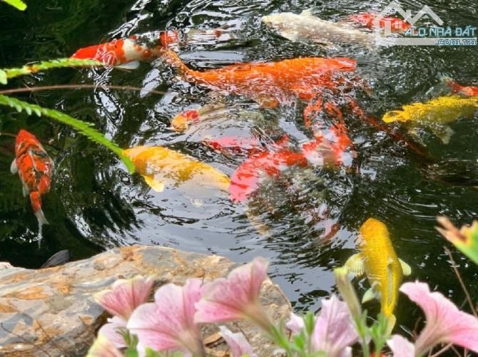 Bán nhà Biệt Thự phố Trung Kính, 4 ô tô tránh, DT: 355m2, MT 18m, 5 tầng, mới, Giá 109 tỷ - 4