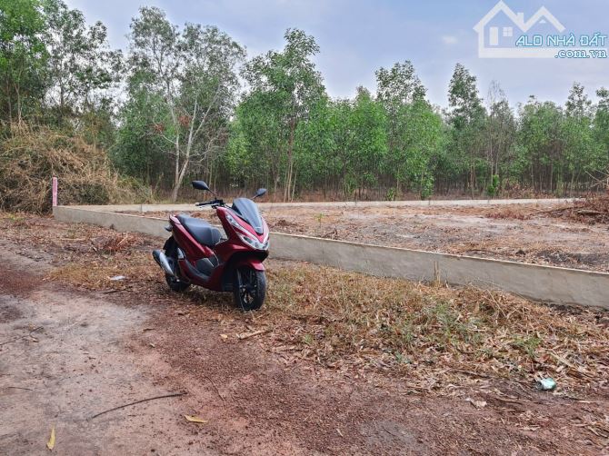 Chủ cần bán đất phủ hồng gần 25C xã Vĩnh Thanh, Nhơn Trạch, 2 mặt tiền, đường rộng giá tốt - 5