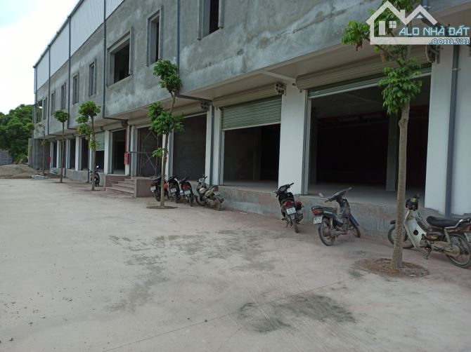 Cho thuê Kho - Xưởng. DT từ: 500m2, 1000m2, 1500m2, 2000m2, đến 200.000m2 tại Cẩm Giàng - 5