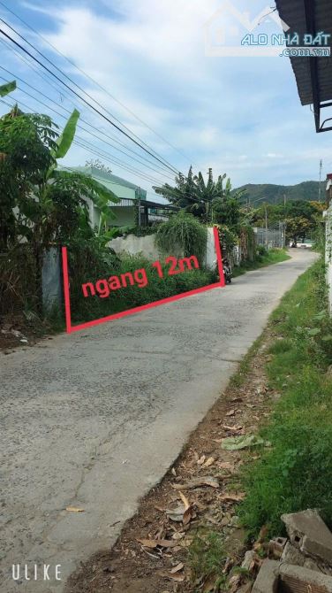 PD58 Bán đất mặt tiền đường Trần Đăng Ninh - Nam nha Trang (Phước Đồng) - 5