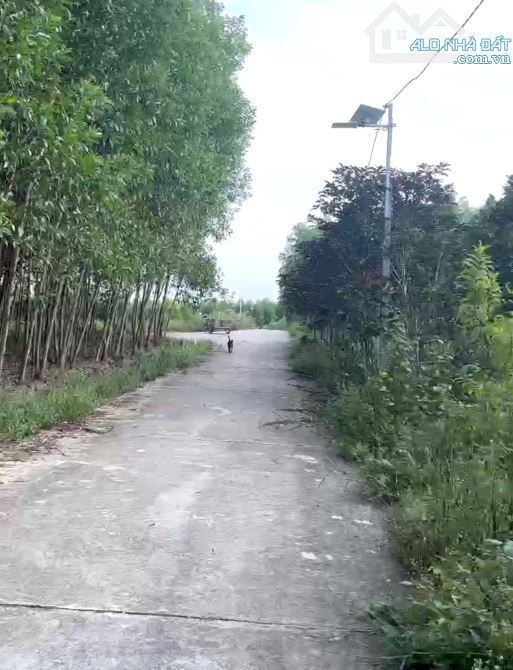 Bán đất vườn Diên Đồng giá rẻ mặt đường bê tông oto tới nơi - 5