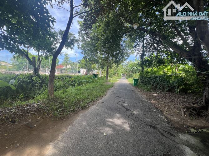 Mình cần bán đất 2MT đường Kiệt Nam Cao, Liên Chiểu, Gần Đại Học Ngoại Ngữ, 195m2. - 5