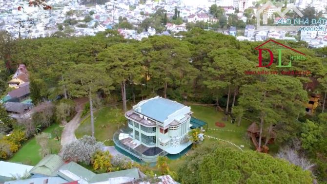 Bán khu biệt phủ Đà Lạt, đồi Nguyễn Khuyến, gần 5000m² đất ở tư nhân, giá 650 tỷ #2547 - 5
