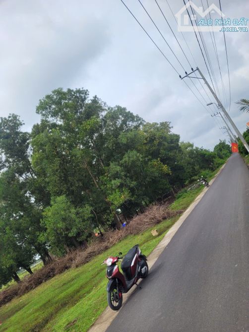 Bán lô đất mặt tiền Trần Quang Quờn, Bình Khánh, Cần Giờ - 6