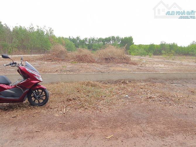 Chủ cần bán đất phủ hồng gần 25C xã Vĩnh Thanh, Nhơn Trạch, 2 mặt tiền, đường rộng giá tốt - 6