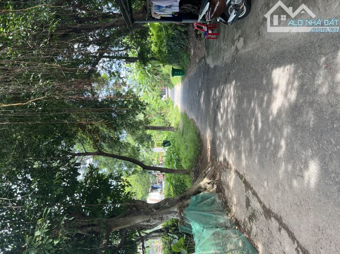 Mình cần bán đất 2MT đường Kiệt Nam Cao, Liên Chiểu, Gần Đại Học Ngoại Ngữ, 195m2. - 6