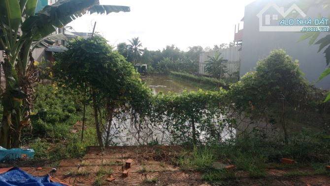 Cần bán 1416m² đất ở KDC Thạnh Mỹ, Cái Răng - 6