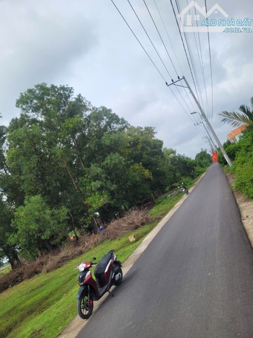 Bán lô đất mặt tiền Trần Quang Quờn, Bình Khánh, Cần Giờ - 7