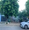 Bán đất đường 7.5m Nguyễn Văn Tấn, Hòa Xuân - Gần Trần Nam Trung - 100m2, Giá 4.6 tỉ TL
