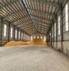 XTLT nhà xưởng sản xuất khung thép kiên cố tiếp nhận nhiều ngành nghề theo QD