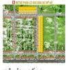 CHÍNH  CHỦ  CẦN BÁN ĐẤT Ở  MỸ AN ĐẠI QUANG  ( HÀ NHA- ĐÀ NẴNG  )