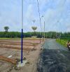 250M2 ĐẤT NGAY QL14 GẦN NGAY KCN BECAMEX CHƠN THÀNH CHỈ 450TR/NỀN