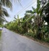 Đất và nhà giá siêu mềm chưa từng thấy