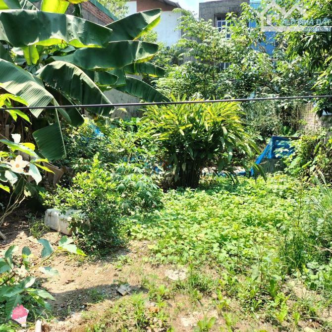 Phan Đăng Lưu - mặt tiền rộng - ôtô tránh - giá đầu tư thấp