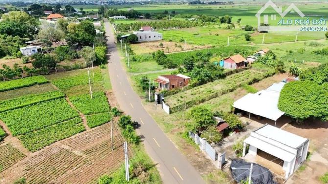 Bán Lô Đất 9m Mặt tiền Đường Nam Kì Khởi Nghĩa TT Đất Đỏ - BRVT - TDT: 492m2 ( 9x52 ) thổ