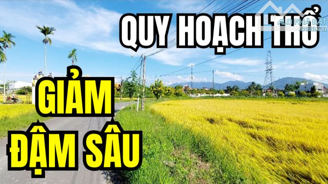 CẦN TIỀN ĐÀNH GIẢM ĐẬM SÂU BÁN GẤP MẢNH ĐẤT LÚA QH THỔ CƯ DIÊN KHÁNH