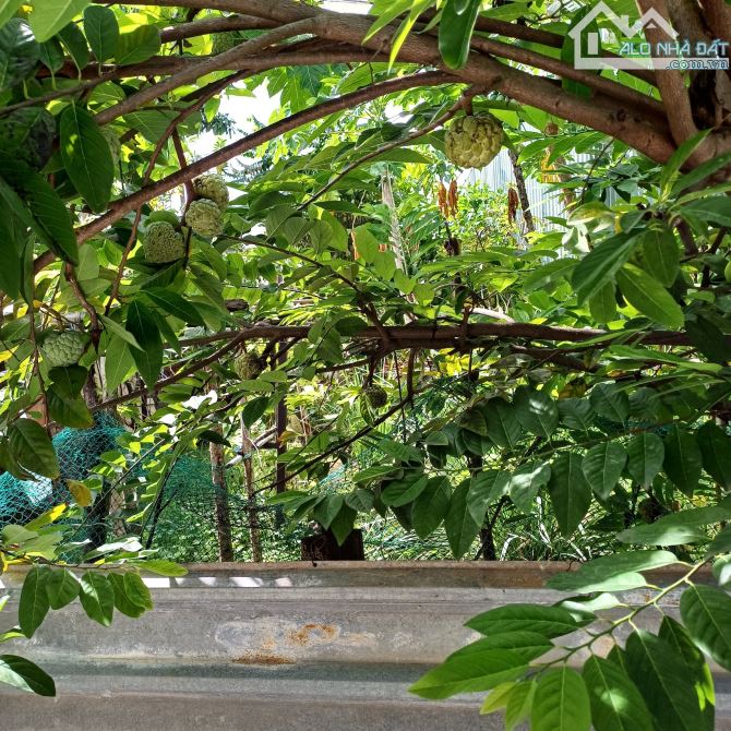Bán lô đất trống Mặt Tiền Đường Bùi Thiện Ngộ - Phường Rạch Dừa ( Ngay bên cạnh chợ).