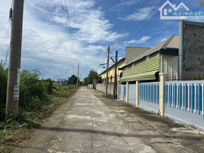 Bán 28m x 35m đất ONT Hẻm Lý Thái Tổ - Tân Tiến - LaGi giá rẻ 100tr/m ngang