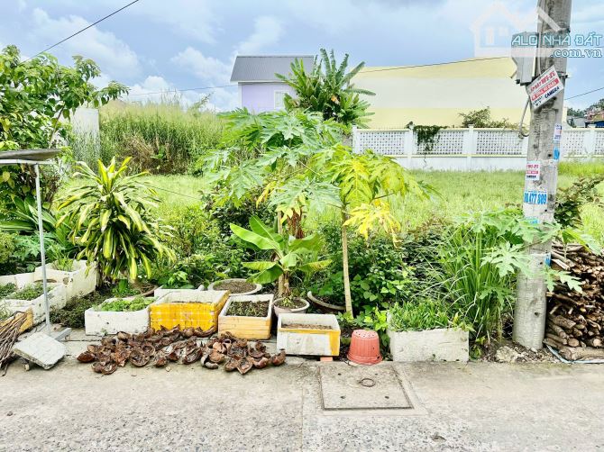 🌟 Cần bán nền nhánh đanl hẻm 58 – đường Mậu Thân, Phường Trà Vinh 🌟  📐 Diện tích: 5m x