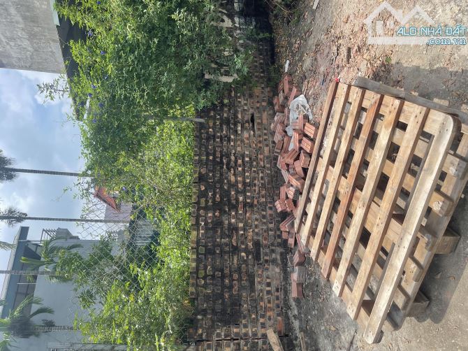 THÔN HẬU DỤC TÚ 50M2 CHO ĐẦU TƯ VÀ ĐỂ Ở ĐỀU TỐT GIÁ RẺ 6,5 TỶ