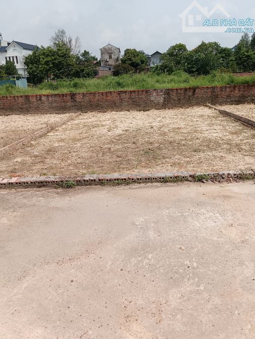 Bán Đất - Lập Trí (Minh Trí) - 81M2 Full Thổ Cư - 1,65 Tỷ