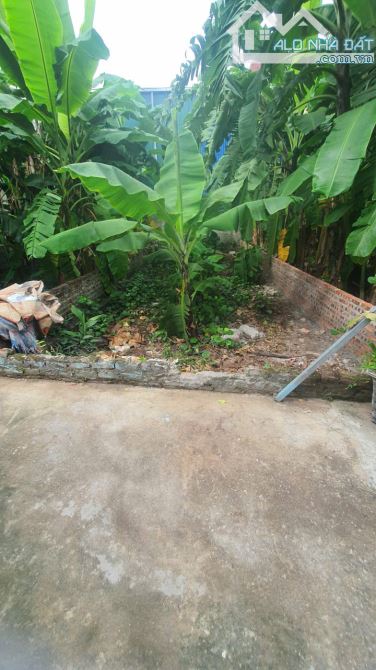 BÁN ĐẤT ĐẸP VẠN PHÚC2- THANH TRÌ HÀ NỘI, GIÁ  ĐẦU TƯ CHỈ HƠN 2 TỶ