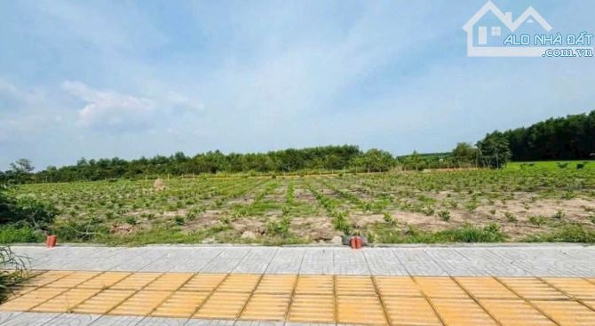 BÁN LÔ ĐẤT ĐỔI DIỆN KHU CÔNG NGHIỆP ĐẤT ĐỎ XÃ ĐẤT ĐỎ BRVT DT 11410m2