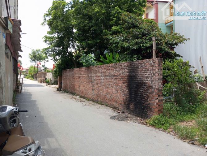 BÁN ĐẤT THUẬN THÀNH, BẮC NINH. 75M2 * MT 5M * 2 TỶ. LÔ GÓC Ô TÔ THÔNG.