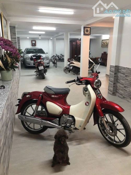 Bán biệt thự khu Cao Lỗ, Phường 4, Quận 8. Gần Parc Mall, Trường ĐH Công Nghệ Sài Gòn
