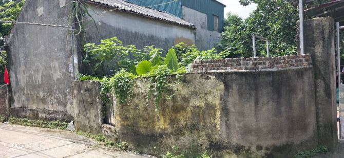 Giá Đầu Tư-Ô Tô Thông-Gần Vin1,Vin2,QL5B.Bán Đất Kiêu Kỵ-Gia Lâm,Dt 80m2,Giá 5.35Tỷ. - 3