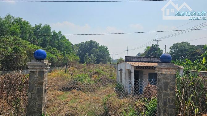 Bán đất thổ cư Nguyễn Thị Chiên, Tân An Hội, Củ Chi: 4.949m2, giá 17,5 tỷ - 1