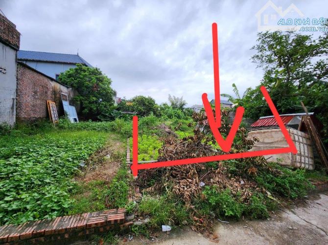 BÁN ĐẤT NINH XÁ – 79.1m² – 1,5 TỶ – OTO TỚI ĐẤT 🔥  Mảnh đất nhỏ xinh, vị trí đẹp tại phườ - 1