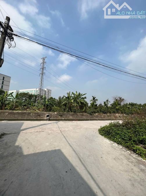 Bán đất siêu rẻ 50,6m² Giá chỉ 920. tại Hoàng Lâu, An Dương, Hải Phòng - 1