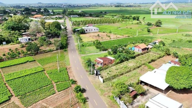 Bán Lô Đất 9m Mặt tiền Đường Nam Kì Khởi Nghĩa TT Đất Đỏ - BRVT - TDT: 492m2 ( 9x52 ) thổ - 1
