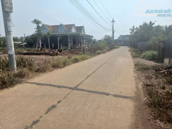 HƠN 1 SÀO 3, THỔ CƯ 340m2 ĐẤT CÁCH BMT CHỈ 15Km - 1