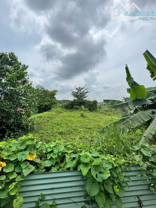 Bán Xưởng Mặt Tiền Quốc Lộ 51 trung tâm 3 KCN lớn Long Thành - An Phước - Long Đức - Sonad - 1