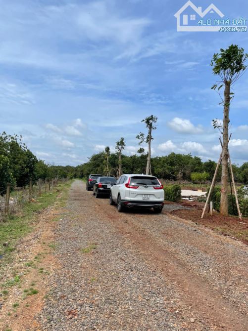 Đất đẹp khu Phú Cường Bến Nôm, đường Cột Cờ view hồ Trị An, Mẹ Núi Cúi - 1