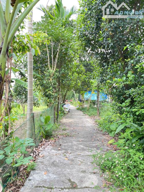 🏡 BLOCK F0 – TÂN MỸ, PHONG MỸ 💥 Ngay khu dân cư – Giá chỉ từ 1xx triệu/lô - 1