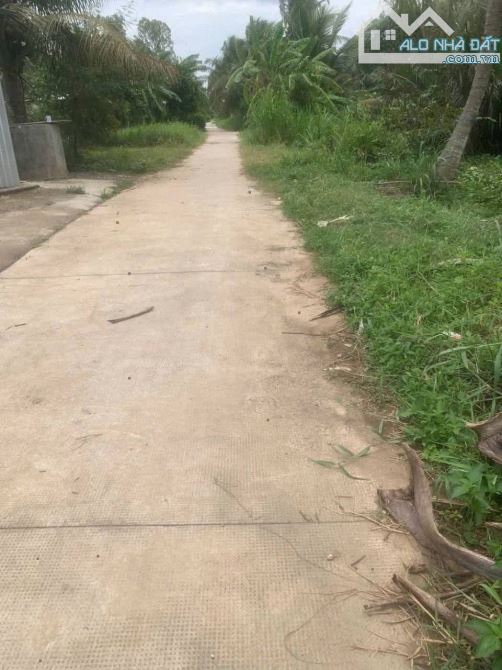 Bán 4550m2 đất vườn dừa châu hòa - 1