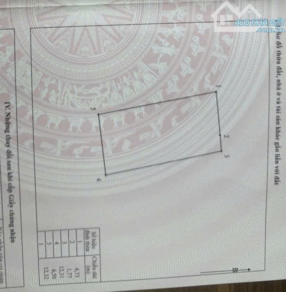 BÁN ĐẤT CÔNG HÀ Ô TÔ TẢI THÔNG GẦN CHỢ DÂU QL17 HÀNG XÓM HỒNG HẠC PHÚ MỸ HƯNG DT82M2 NHỈNH - 1