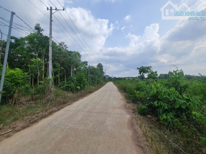 Bán 3,2 mẫu đất mặt tiền đường Bàu Sình xã Suối Cao huyện Xuân Lộc đường bê tông có thổ cư - 2