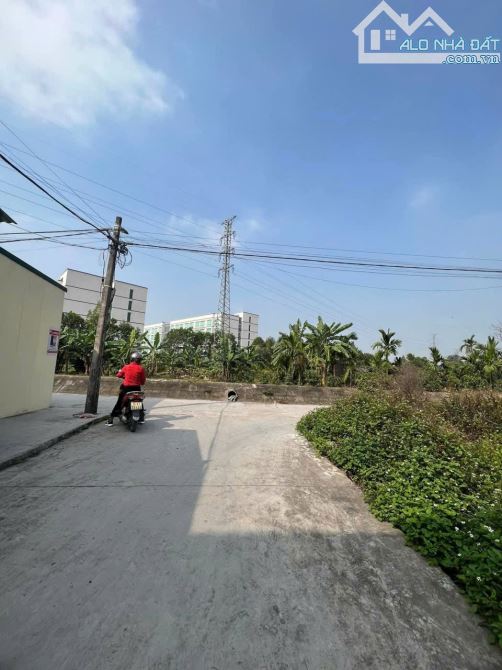 Bán đất siêu rẻ 50,6m² Giá chỉ 920. tại Hoàng Lâu, An Dương, Hải Phòng - 2