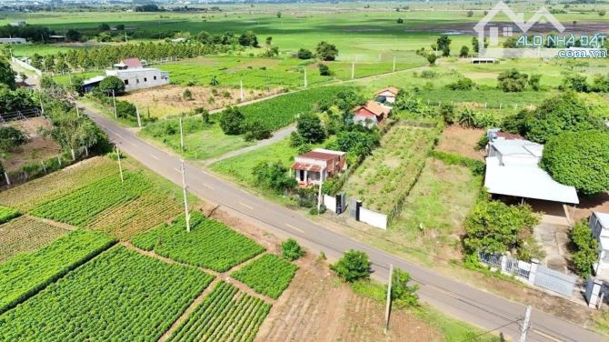 Bán Lô Đất 9m Mặt tiền Đường Nam Kì Khởi Nghĩa TT Đất Đỏ - BRVT - TDT: 492m2 ( 9x52 ) thổ - 2