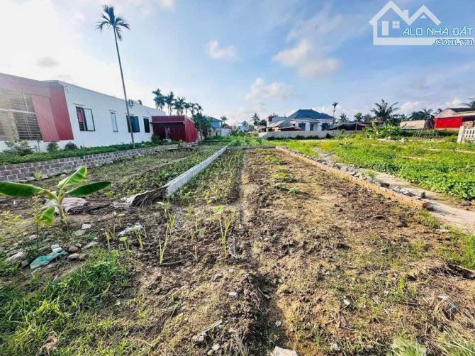89,5m2 đất Cốc Liễn, Minh Tân, xã Kiến Minh , TP Hải Phòng - 2