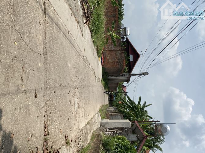 💥Bán đất Thắng Trí Minh Trí Sóc Sơn ( Kim Anh Hà Nội) Ô tô đỗ cửa - 2