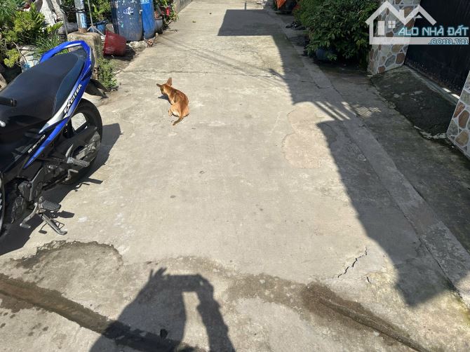 Bán đất LÔ GÓC 100m2 gần Big C GO Dĩ An,SHR đường xe hơi,giá rẻ - 2