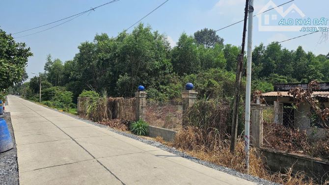 Bán đất thổ cư Nguyễn Thị Chiên, Tân An Hội, Củ Chi: 4.949m2, giá 17,5 tỷ - 3